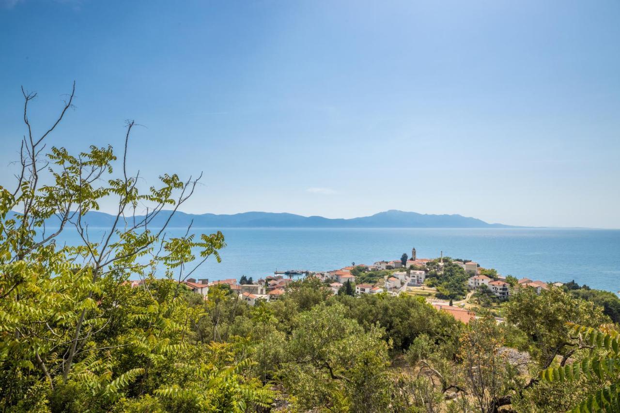 Family Apartment Gradac  Exterior photo