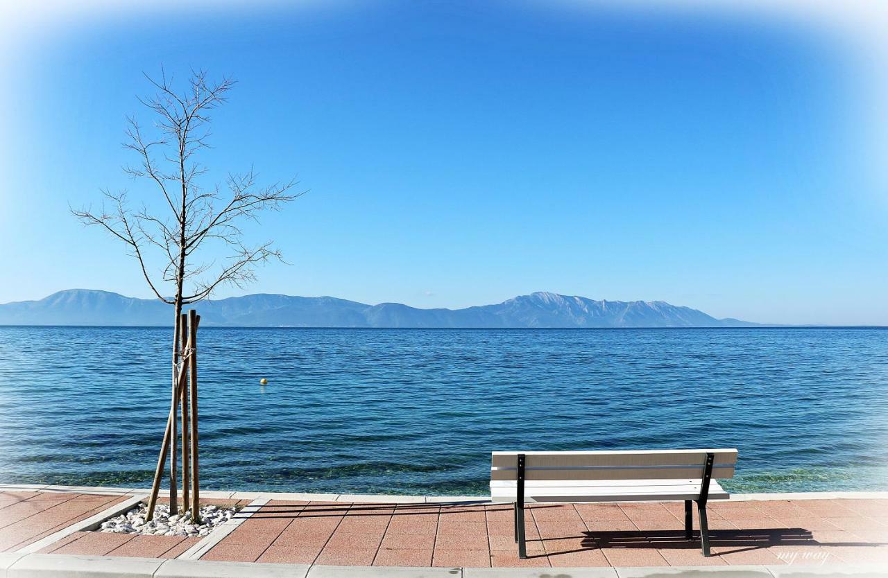 Family Apartment Gradac  Exterior photo